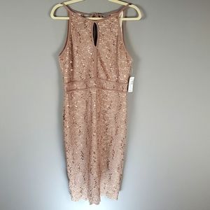 Dress Barn Champagne Bronze High Neck Lace and Sequin  Short Dress, Size: 14